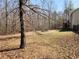 Large backyard with mature trees offers space and privacy near the house at 210 Vintage Dr, Covington, GA 30014