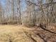 Large backyard with sparse ground cover, surrounded by mature trees, offering a private natural setting at 210 Vintage Dr, Covington, GA 30014