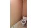 Standard toilet in the bathroom, showing the wall color and flooring at 210 Vintage Dr, Covington, GA 30014