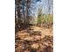 Scenic land featuring mature trees creating a tranquil and private setting at 210 Vintage Dr, Covington, GA 30014