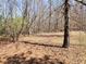 Expansive land features mature trees and a serene, natural landscape at 210 Vintage Dr, Covington, GA 30014