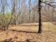 Expansive land features mature trees and a serene, natural landscape at 210 Vintage Dr, Covington, GA 30014