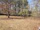 Secluded land offering mature trees and a peaceful, natural environment at 210 Vintage Dr, Covington, GA 30014