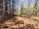 Picturesque land with mature trees creating a peaceful, natural retreat at 210 Vintage Dr, Covington, GA 30014