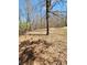 Picturesque land with mature trees creating a peaceful, natural retreat at 210 Vintage Dr, Covington, GA 30014