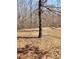 A verdant expanse of land, perfect for building, amidst towering trees and golden autumn foliage at 210 Vintage Dr, Covington, GA 30014