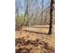 A verdant expanse of land, perfect for building, amidst towering trees and golden autumn foliage at 210 Vintage Dr, Covington, GA 30014