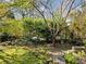 Lush backyard area with a natural stone border creating a serene garden landscape at 46 W Belle Isle Rd, Atlanta, GA 30342