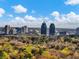 Stunning skyline view with lush greenery and trees at 46 W Belle Isle Rd, Atlanta, GA 30342