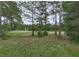 Private backyard featuring mature trees, perfect for nature enthusiasts at 1009 Fairway Seven, Villa Rica, GA 30180