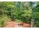 Hiking trail surrounded by lush greenery and mature trees at 216 Crescent Moon Way, Canton, GA 30114