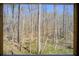 Wooded view framed by a wooden window frame at 555 Lower Birmingham Rd, Canton, GA 30115