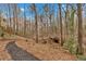 View of wooded backyard with a wooden structure and a black mulch path leading to it at 931 Cornwall Sw Ct, Marietta, GA 30064