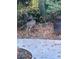 Enjoy the deer wildlife outside your window in this tranquil wooded backyard at 931 Cornwall Sw Ct, Marietta, GA 30064