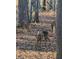 Local deer visit this beautiful property with its serene natural surroundings at 931 Cornwall Sw Ct, Marietta, GA 30064