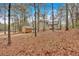 Exterior view of the rear of the home with a storage shed, trees, and sloped backyard at 12 Remington Ct, Euharlee, GA 30145