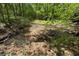 Backyard featuring a natural stream and wooded area for a tranquil setting at 2848 Tanner Lake Nw Trl, Marietta, GA 30064