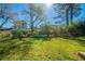 Expansive green backyard with mature trees and clear blue sky overhead at 4205 Whittier Ct, Decatur, GA 30034