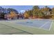 Community tennis courts with green and blue surfaces are surrounded by lush trees at 2382 Gallard St, Lawrenceville, GA 30043