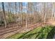 View of wooded backyard with grass, trees, leaves, and sunlight at 8069 Kenstone Ct, Sandy Springs, GA 30350