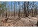 View of the surrounding woods with mature trees and ample natural light at 7025 Bavarian Wood Pl, Buford, GA 30518