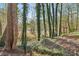 Scenic backyard view with mature trees, lush greenery, and distant water creates a serene atmosphere at 2411 Mitchell Ne Rd, Marietta, GA 30062