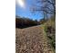 Large backyard with mature trees and greenery, providing ample space for outdoor activities and relaxation at 1979 Se Bencal Se Dr, Atlanta, GA 30316