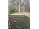 Expansive backyard bordered by mature trees, offering privacy and tranquility at 851 Hedge Garden Ct, Stone Mountain, GA 30088