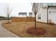 A view of the home's landscaped side yard, featuring young trees and a wooden fence at 290 Brighton Bend Ln, Acworth, GA 30102