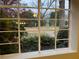 Window with natural light overlooking a green landscaped yard and trees at 1148 Briarcliff Ne Rd # 1, Atlanta, GA 30306