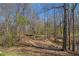 Scenic view of wooded area with a creek running through it, offering a tranquil natural setting at 160 Glenmore Ln, Mcdonough, GA 30253