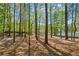 Scenic view of the neighborhood pond through the trees showcasing the community landscape at 2360 Brookgreen Commons, Kennesaw, GA 30144