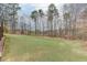 Expansive green backyard with a line of mature trees bordering the rear of the property at 802 Towering Pine Trl, Lawrenceville, GA 30045