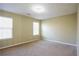 Neutral bedroom with carpet, two windows, and a blank canvas to make your own at 4033 Roxberry Hill Ln, Buford, GA 30518