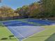 Community tennis courts featuring well-maintained blue courts, green surroundings, and nearby benches at 4950 Luke Dr, Cumming, GA 30040