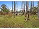 Lush backyard with mature trees, offering a serene and private setting at 1752 Atherton Dr, Decatur, GA 30035