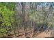 View of wooded area with lush greenery from the property at 2417 Tree Arbor Way, Marietta, GA 30064