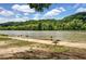 Ducks and geese enjoy the community waterfront area with a treelined landscape at 165 River Ridge Ln, Roswell, GA 30075