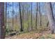 Backyard of home with mature trees at 2072 Arbor Forest Sw Dr, Marietta, GA 30064