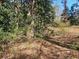 Picture features dense trees and thick vegetation, creating a private, wooded buffer around the property at 3685 Emily Way, Atlanta, GA 30349