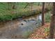 Peaceful view of a gently flowing creek surrounded by lush greenery and mature trees in the backyard at 275 Tynebrae Pl, Roswell, GA 30075