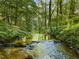 A tranquil stream gently flows through a verdant and lush green forest landscape at 275 Tynebrae Pl, Roswell, GA 30075