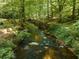 Scenic view of a tranquil stream surrounded by verdant trees and foliage, showcasing the property's natural setting at 275 Tynebrae Pl, Roswell, GA 30075