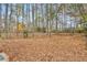 Large wooded backyard with mature trees and natural ground cover with fall foliage at 540 Saint James Pl, Marietta, GA 30064