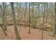 Picturesque wooded backyard view with a small creek running through it, surrounded by nature's beauty at 1270 Smokehouse Trl, Cumming, GA 30041