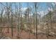 Scenic view of the lush backyard and a creek running through the property at 1270 Smokehouse Trl, Cumming, GA 30041