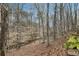 Scenic view of the wooded backyard and a creek running through the property at 1270 Smokehouse Trl, Cumming, GA 30041