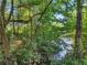 A lush view of the pond through the trees at 152 Vinings Lake Ct, Mableton, GA 30126