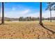 Expansive backyard with views of the lake and mature trees at 2445 Ridgelake Dr, Villa Rica, GA 30180