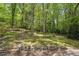 Multi-tiered backyard with landscaped steps, leading to a serene wooded area with mature trees at 205 Glencourtney Dr, Sandy Springs, GA 30328